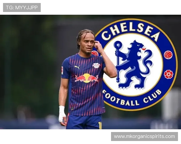 德天空：切尔西仍有机会引进西蒙斯 热刺未与其签约合同