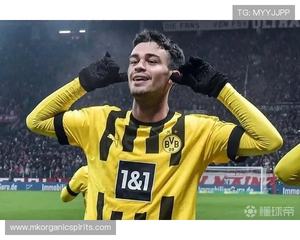 雷纳深情告白多特蒙德 感恩时光球队永远在我心中 雷纳深情告白多特蒙德 感恩时光球队永远在我心中