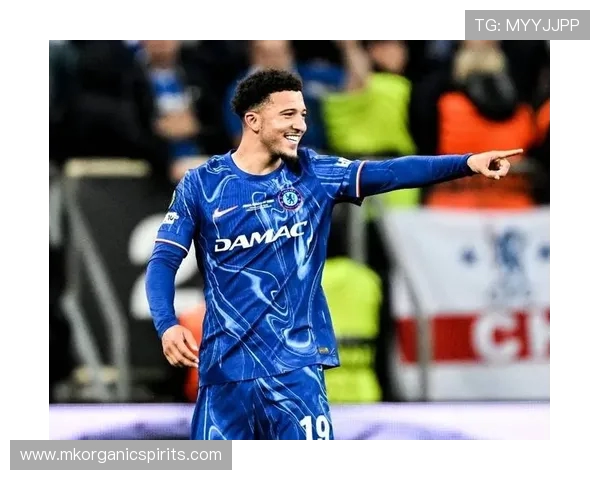 费迪南德批评桑乔租借合同缺少强制买断条款这一步棋太不明智 费迪南德批评桑乔租借合同缺少强制买断条款这一步棋太不明智