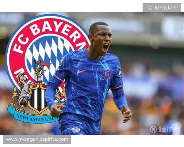 雅克松强势加盟拜仁慕尼黑球队豪门阵容再添锋线新星