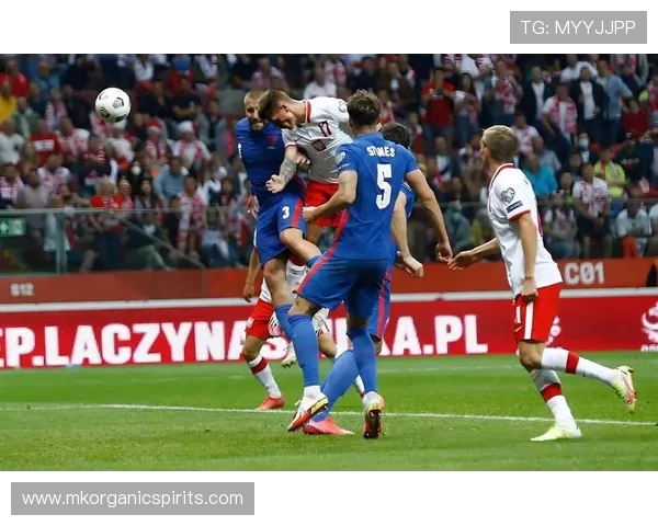 乔弗尔凭借枪手定位球技术成固定杀招获得广泛赞誉 乔弗尔凭借枪手定位球技术成固定杀招获得广泛赞誉