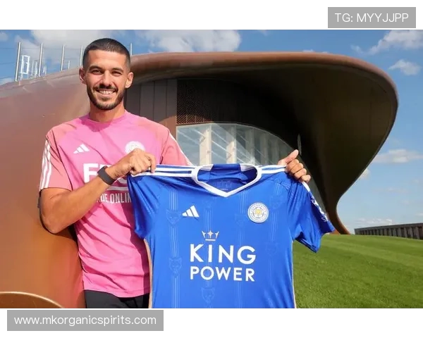 盘点2026年初莱斯特城五场比赛因赛程调整引发的连锁影响解析 盘点2026年初莱斯特城五场比赛因赛程调整引发的连锁影响解析