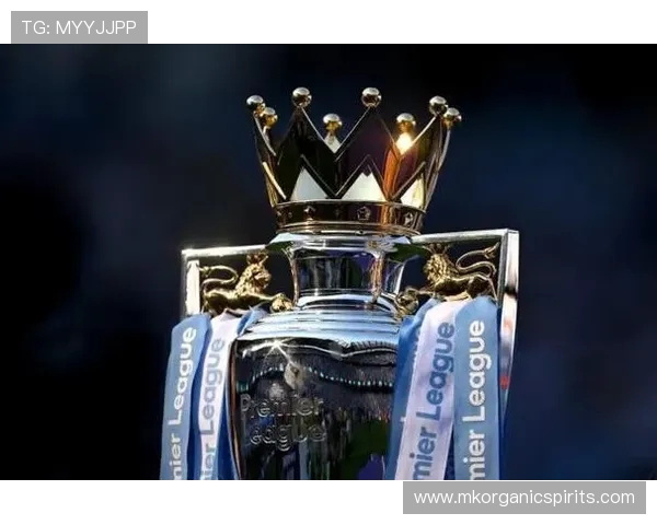 PSR、SCR、SSR……英超财政公平新规究竟是什么鬼？