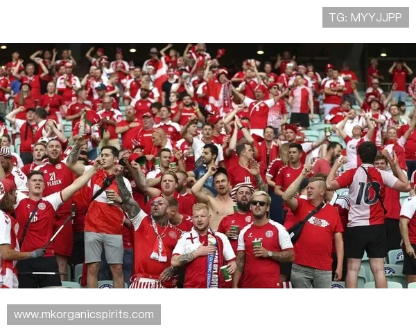 亨利：阿森纳本赛季太强了，他们现在是欧洲最稳固的球队